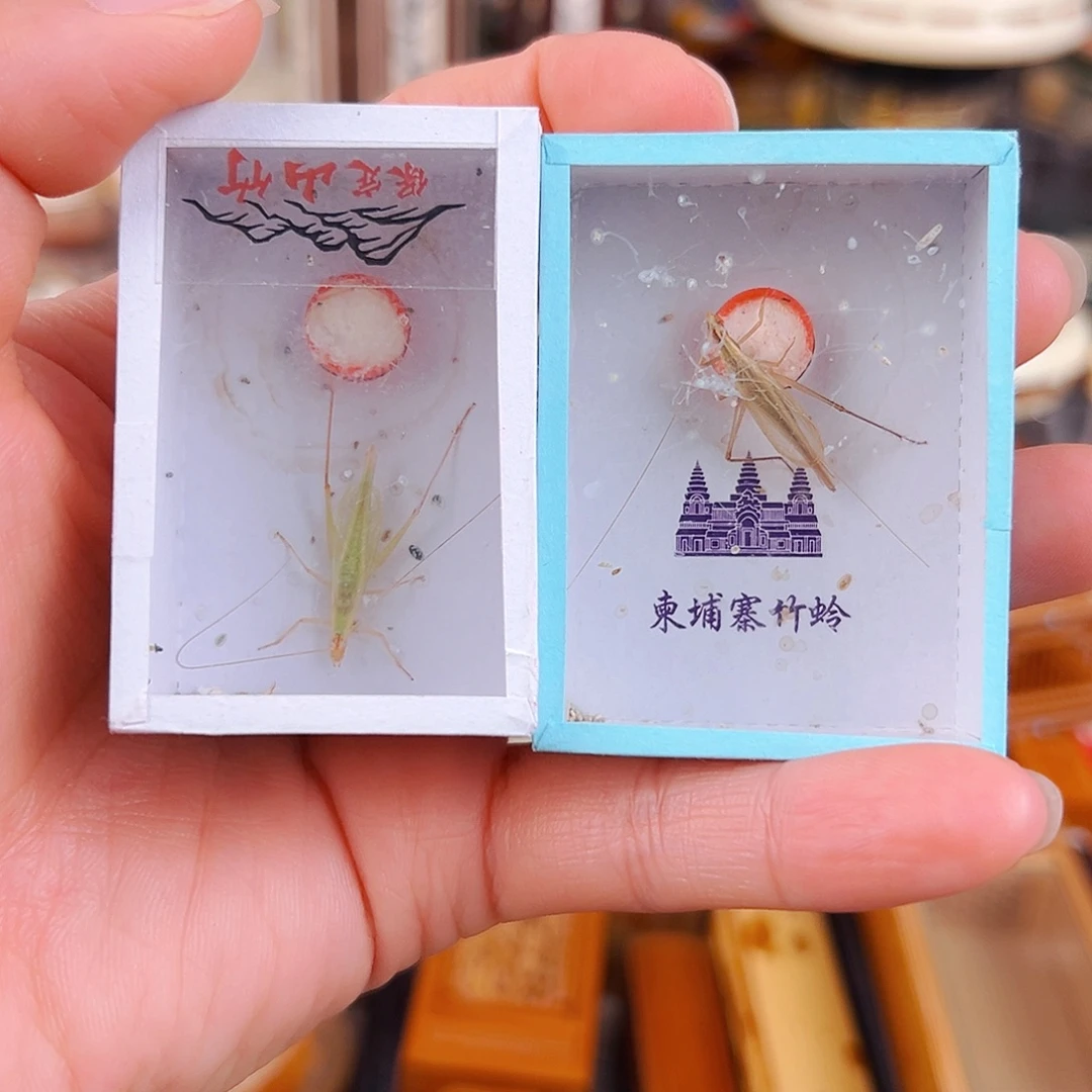 *****青竹一个柬埔寨一个