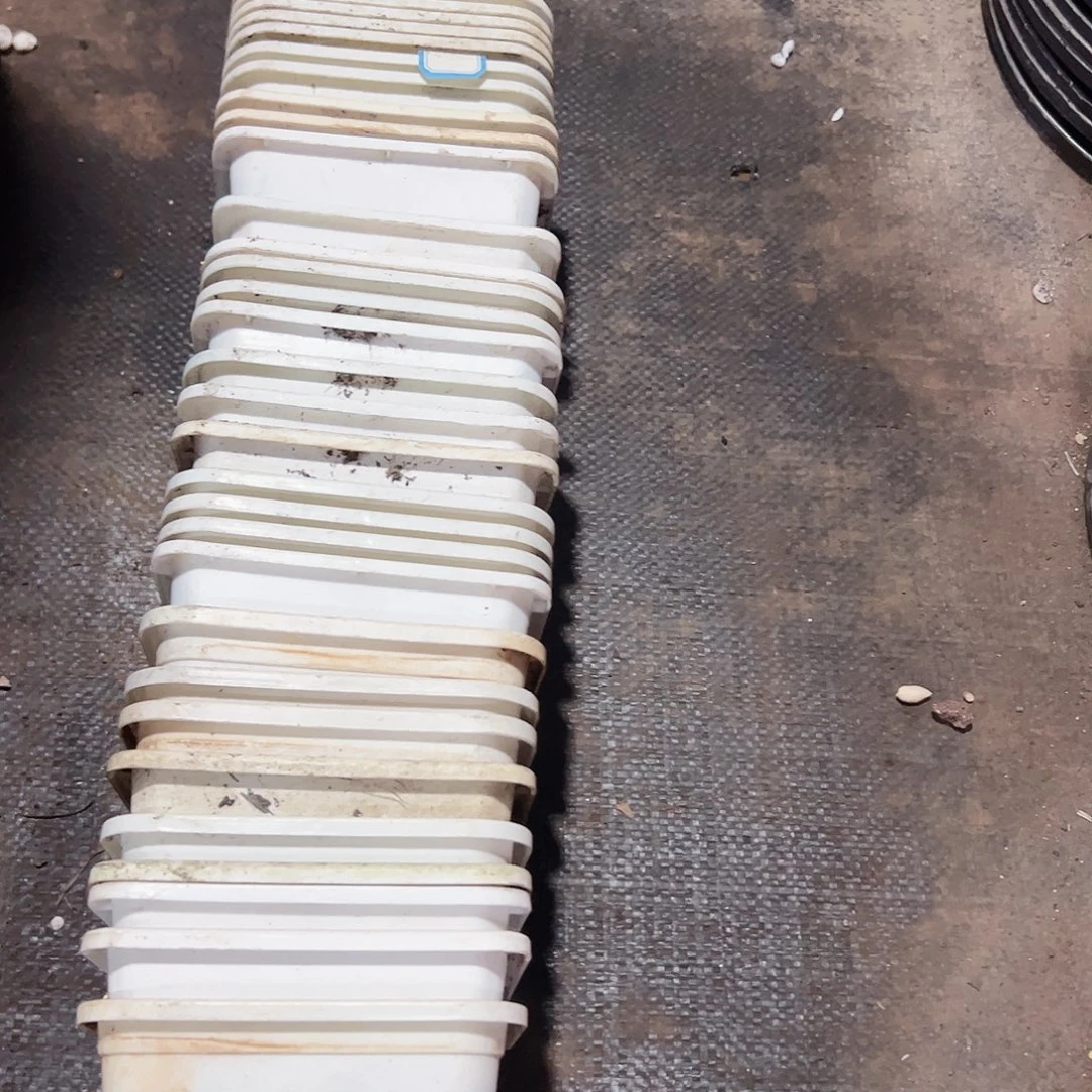 白方120盆11.5口径10高31个