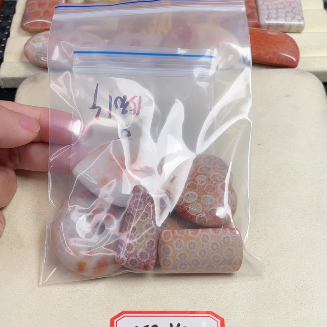 【闪购商品】未镶嵌吊坠(赠链)硅化玉学