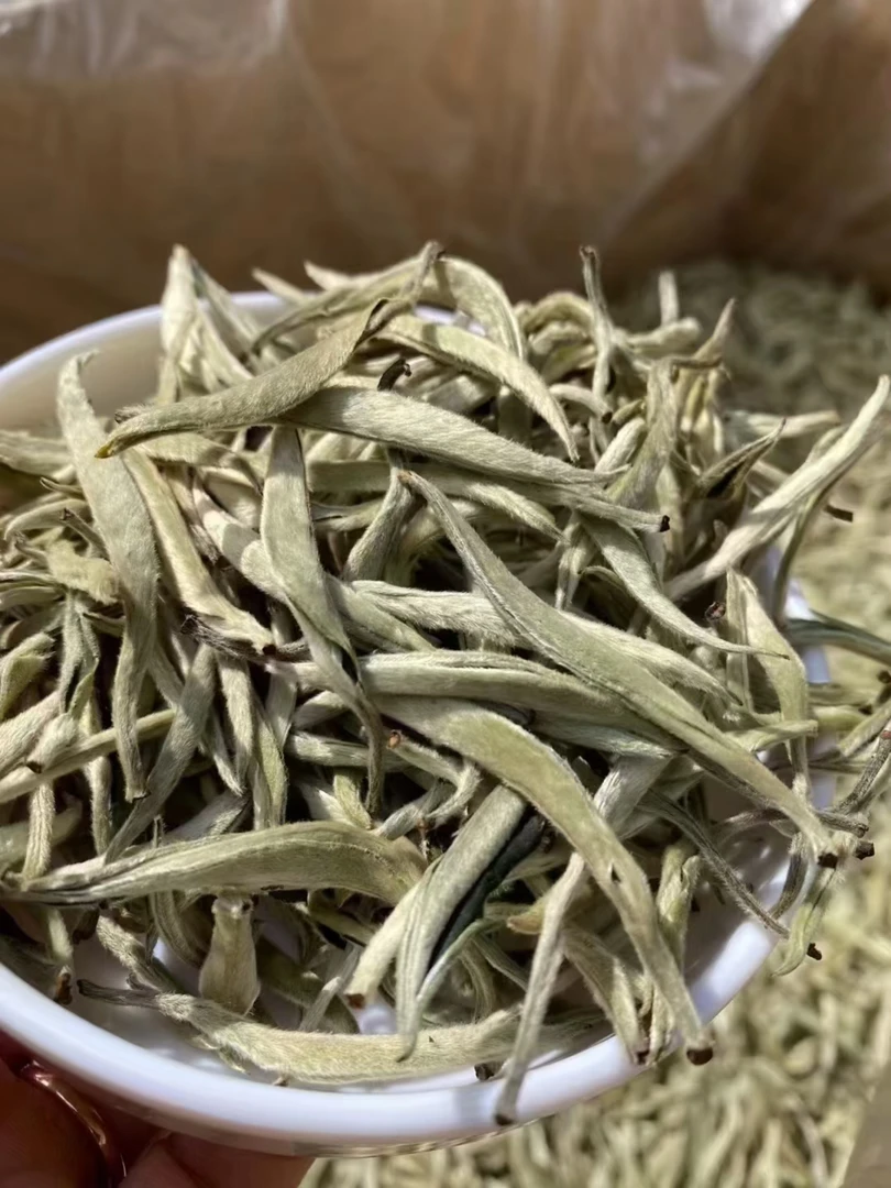 大白毫 月光白 云南白茶 大叶种茶高山茶古树茶2025年新茶清香型