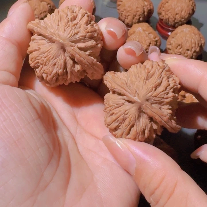 核桃专用链接，四座楼