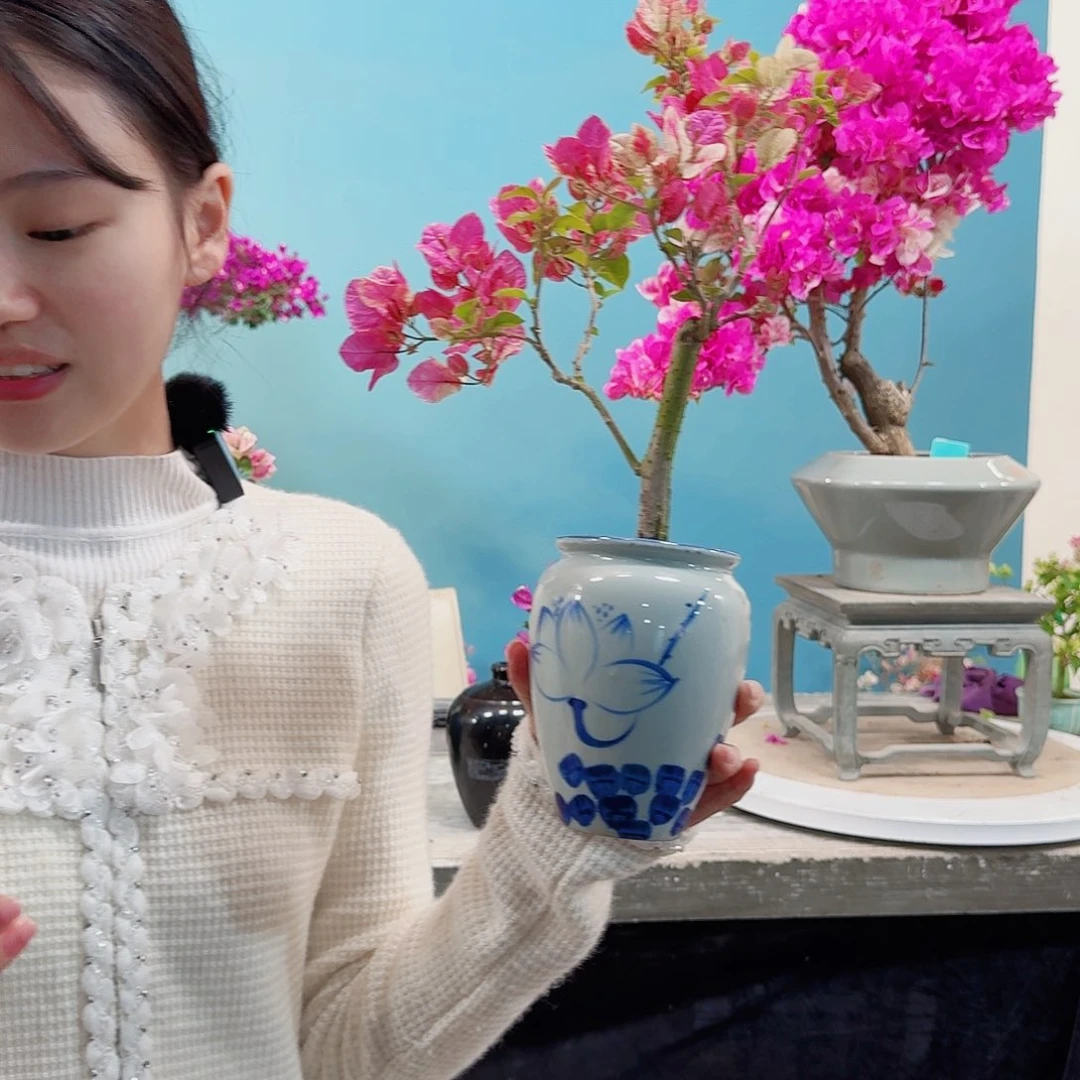 幸*三角梅三角梅三角梅