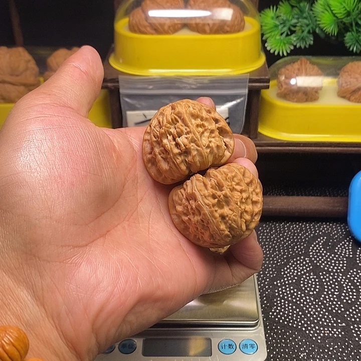 吊坠文玩核桃白狮子42有修