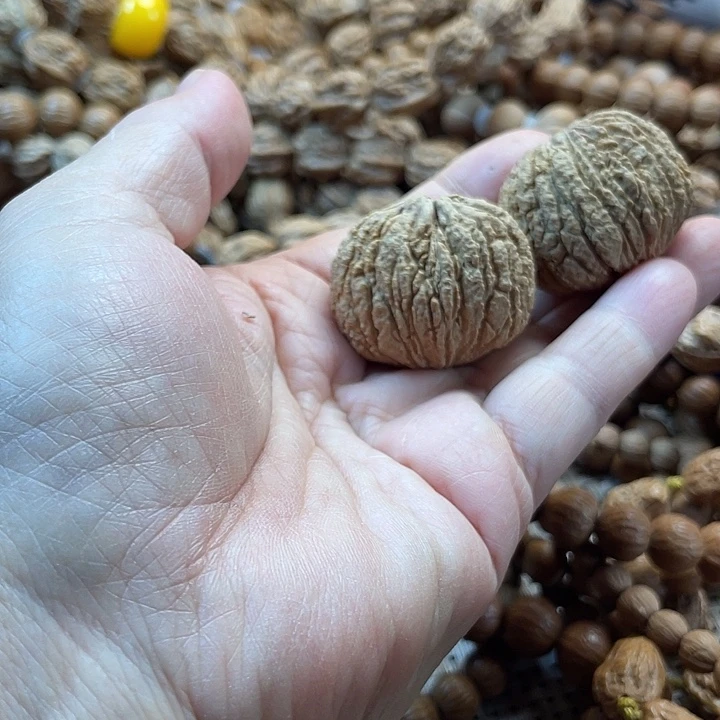 手串猴头核桃3.4老树手把件
