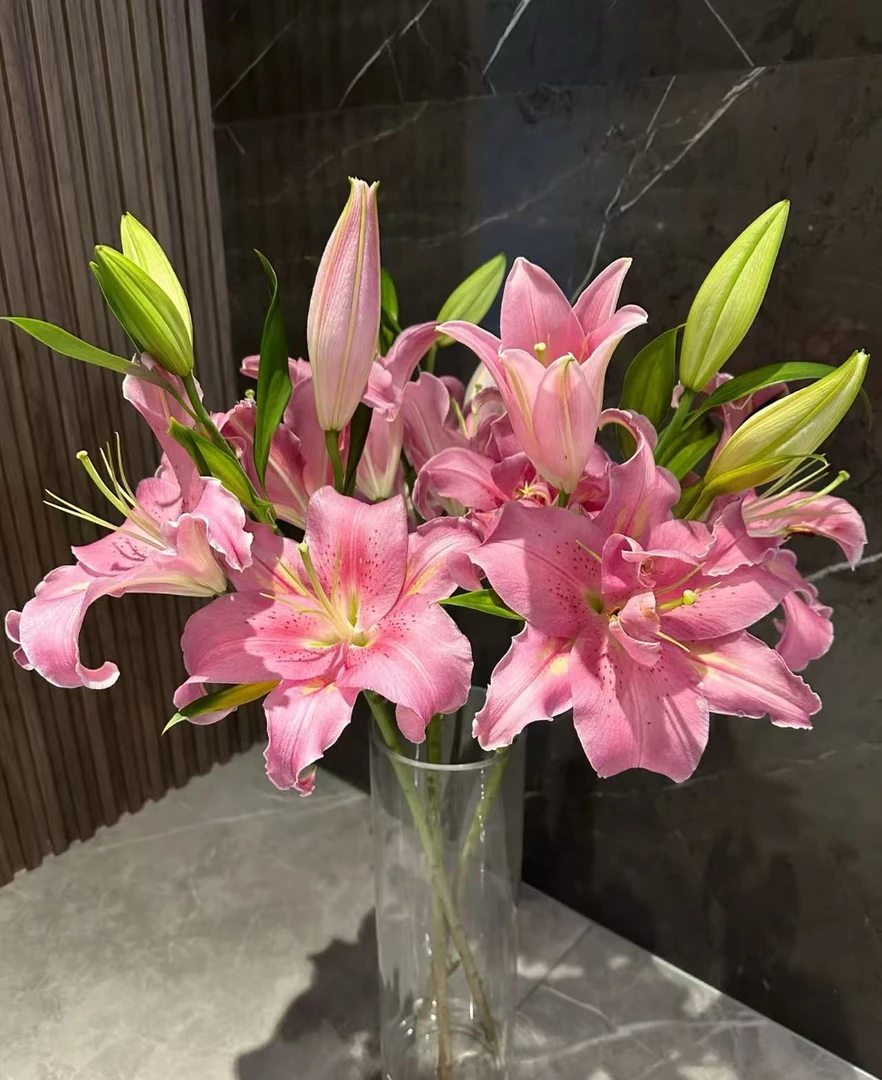 【二姐夫】三头荷花香水百合云南鲜花顺丰包邮