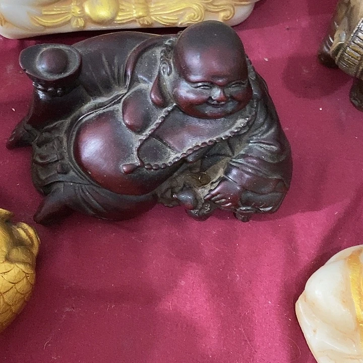 新骨瓷我是一只小小鸟地域