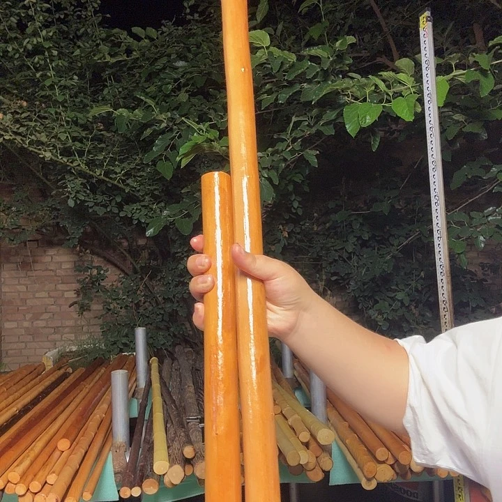 木1****v红荀子车载