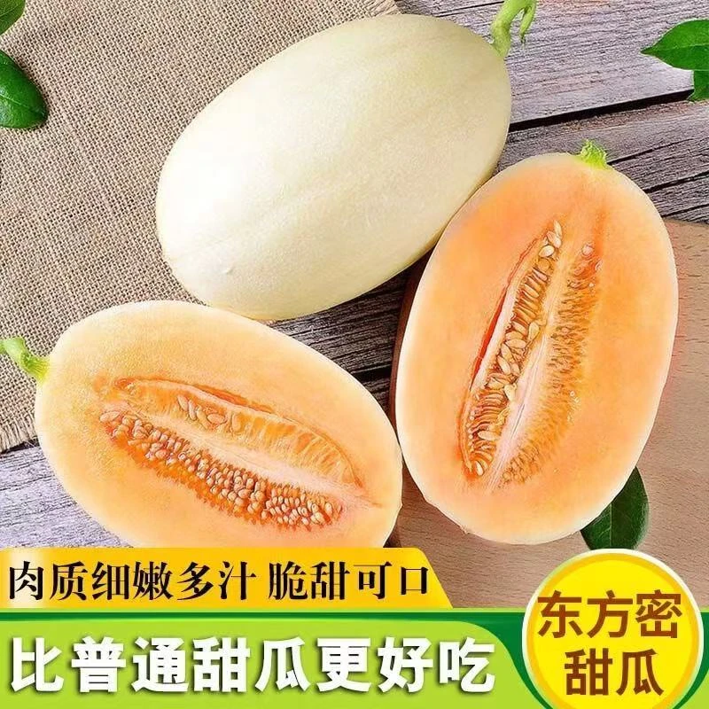 东方蜜甜瓜脆甜可口整箱速发京东包邮到家