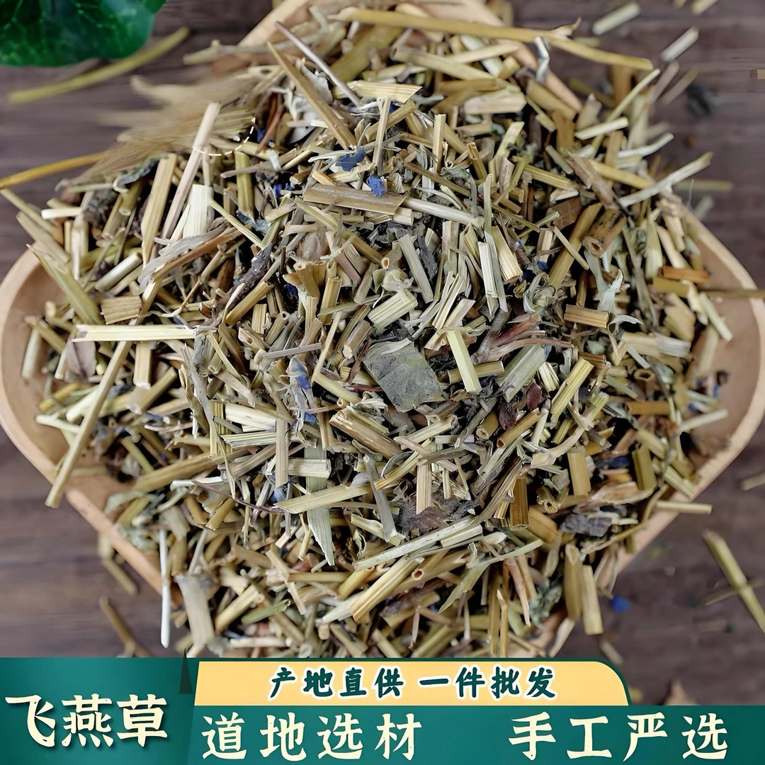 飞燕草 中药材精选正品鸽子花 百部草 大花飞燕草 千鸟花道地原产