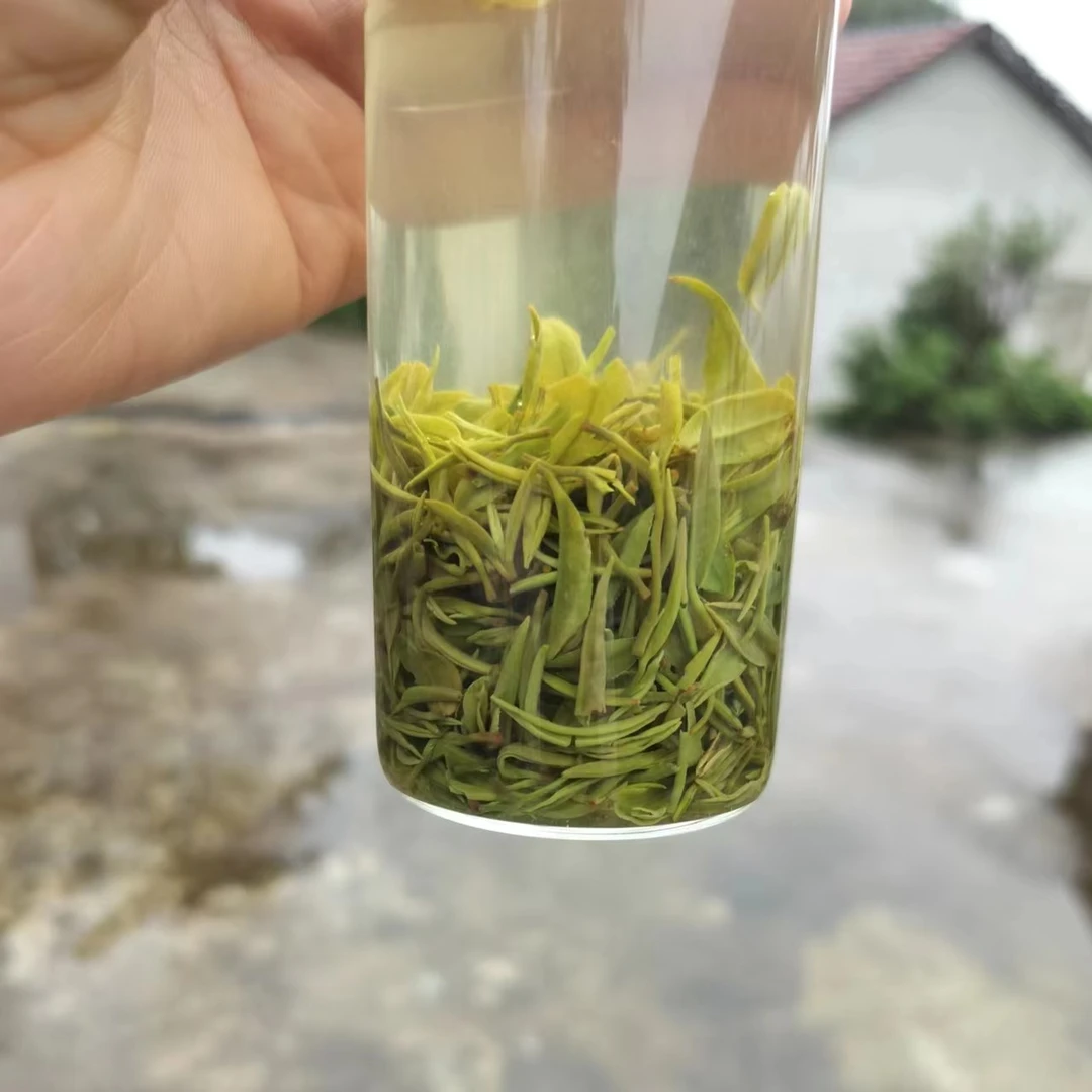 【白龙潭大山楼头】白龙潭大山水口521核心产区信阳毛尖