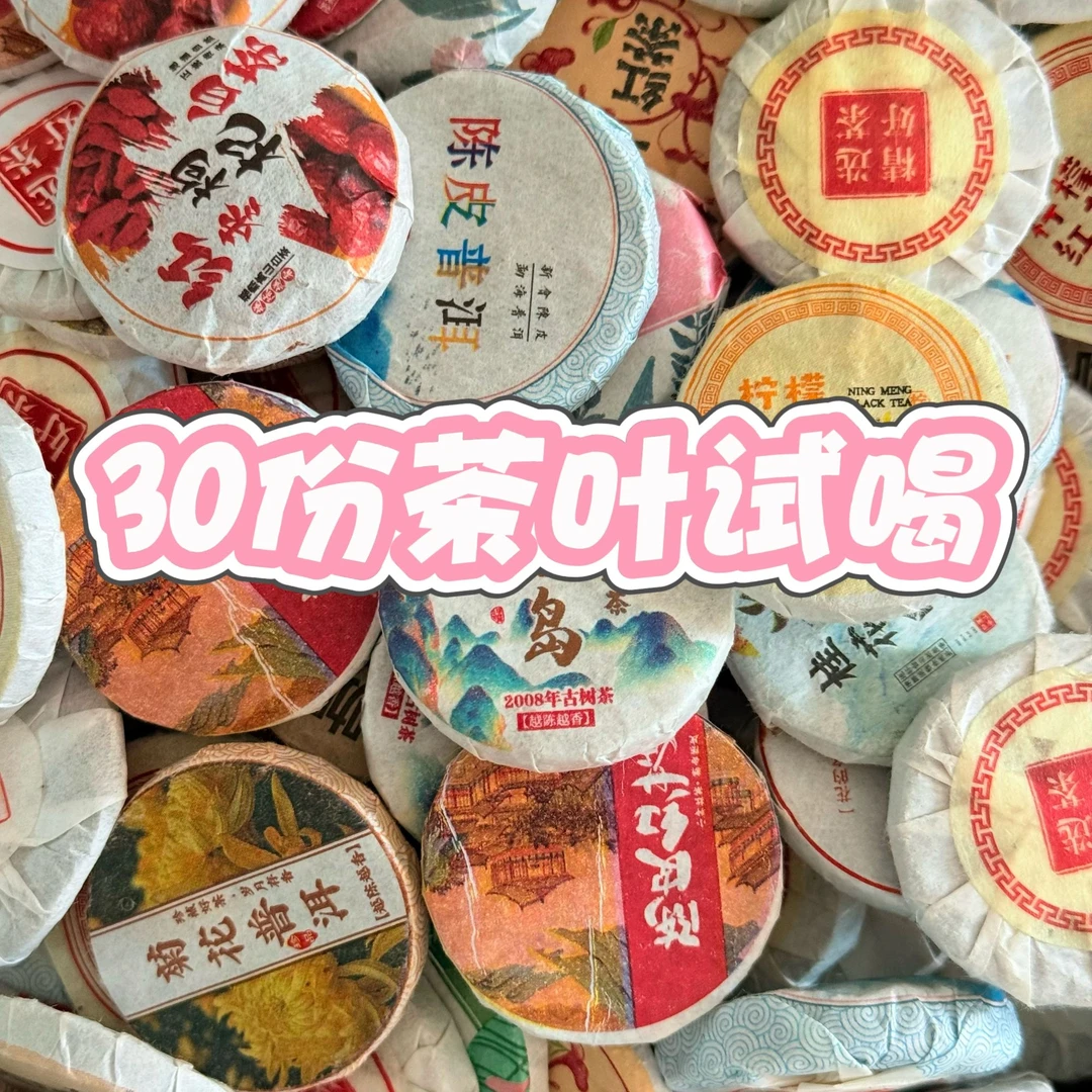 办公室口粮茶陈皮普洱茶花果小茶饼15种多品茶叶礼盒生茶白茶