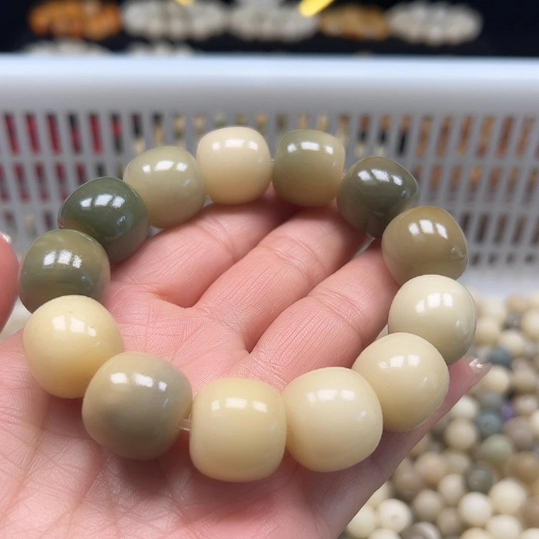 手串菩提根/象牙果微瑕卡18干磨绿桶一条