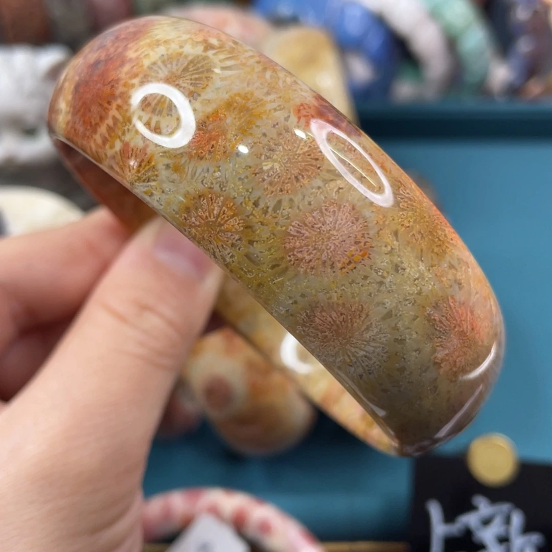 未镶嵌手镯硅化玉