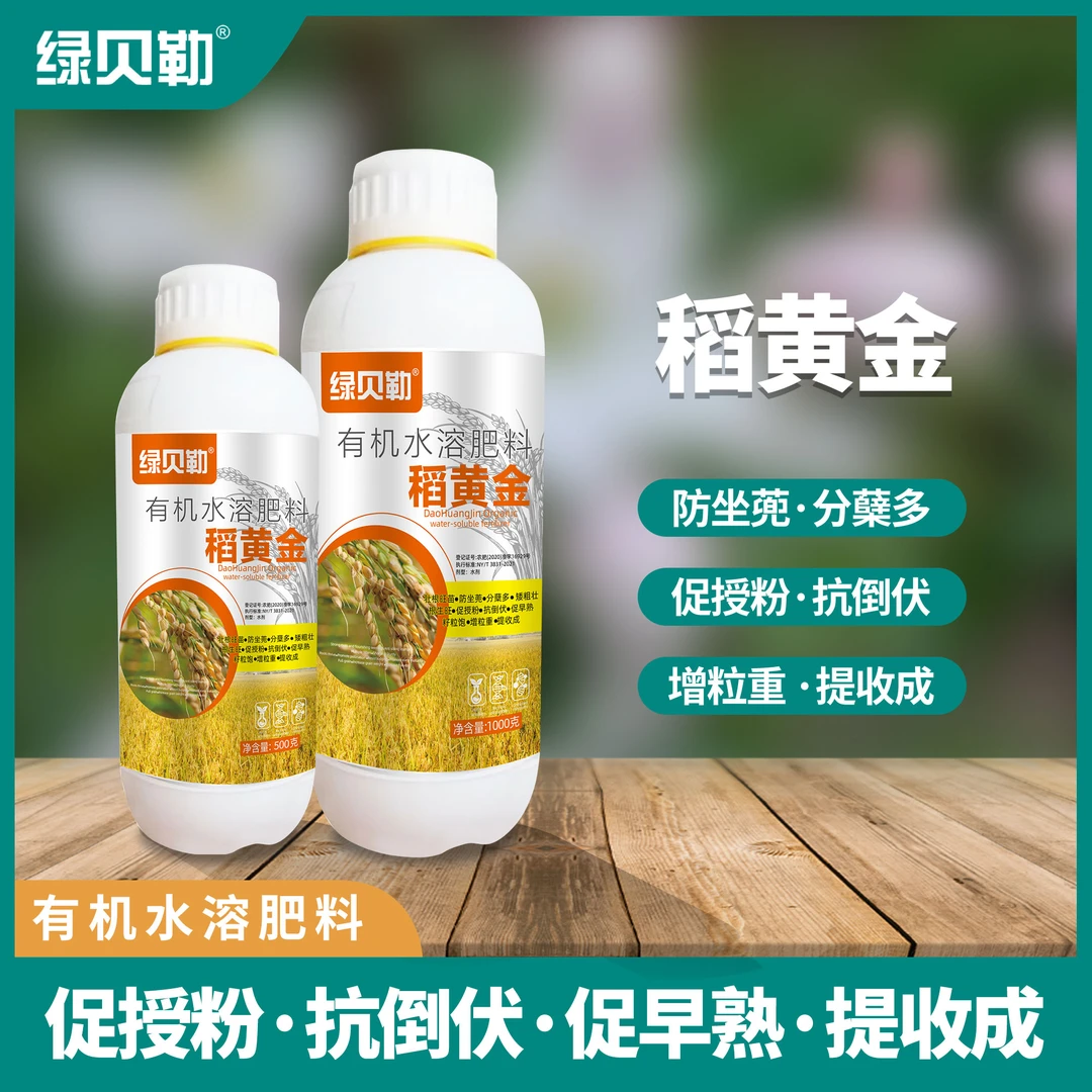 稻黄金分蘖多抗倒伏早成熟产量高水稻有机水溶肥料
