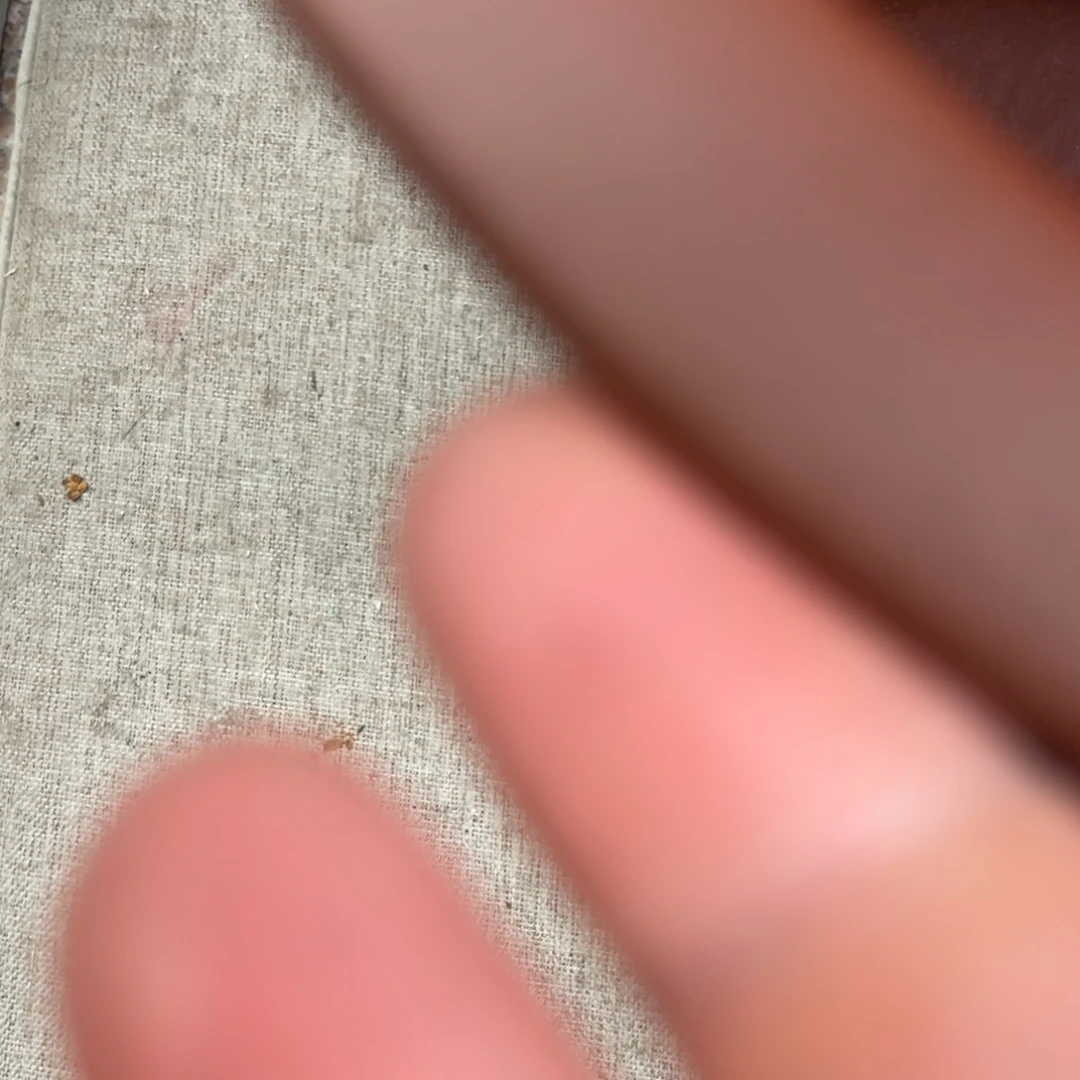 吴***家高温正宗手工花盆