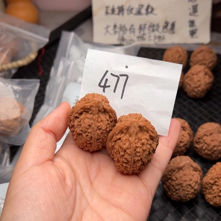 核桃35尺寸大蒜头