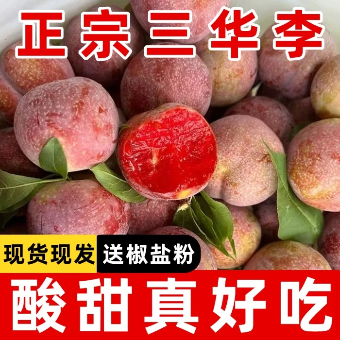 正宗钱排三华李头茬当季新鲜孕妇小孩酸酸脆脆解腻多汁3