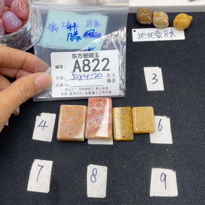 硅化珊瑚（珊瑚玉）颈饰合金藤**呀