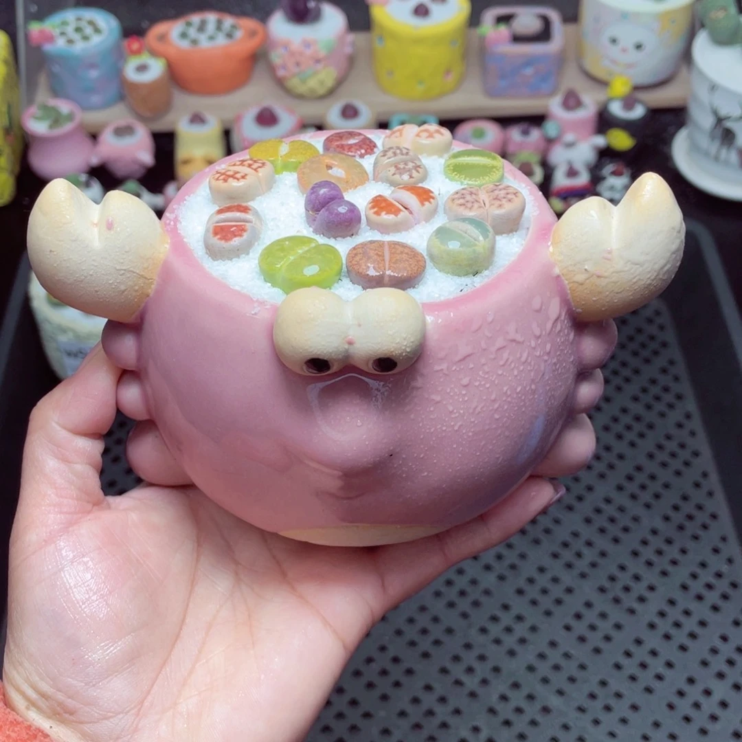 w9307 带盆土发货-零下地区拍保温箱