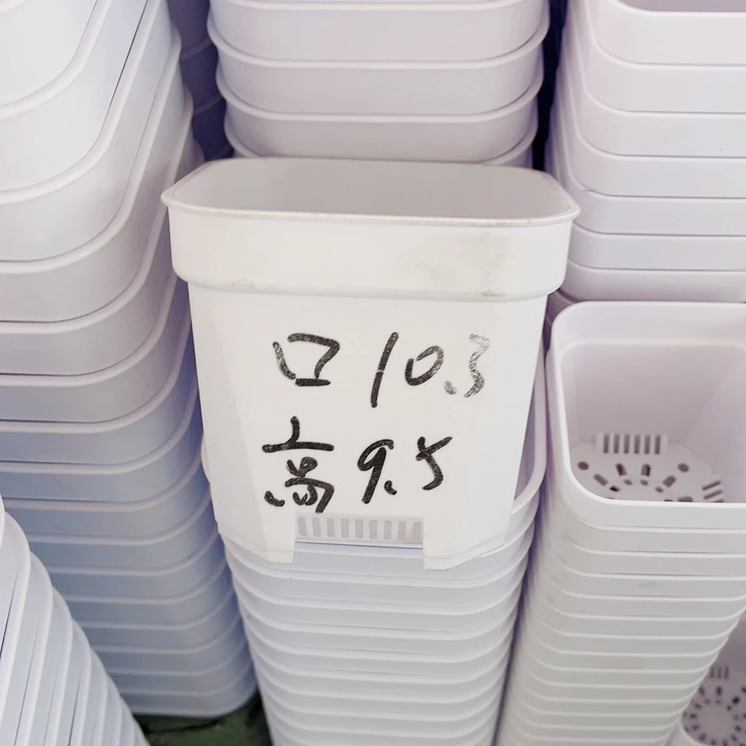 树脂加厚矮胖10方白色盆10个无托