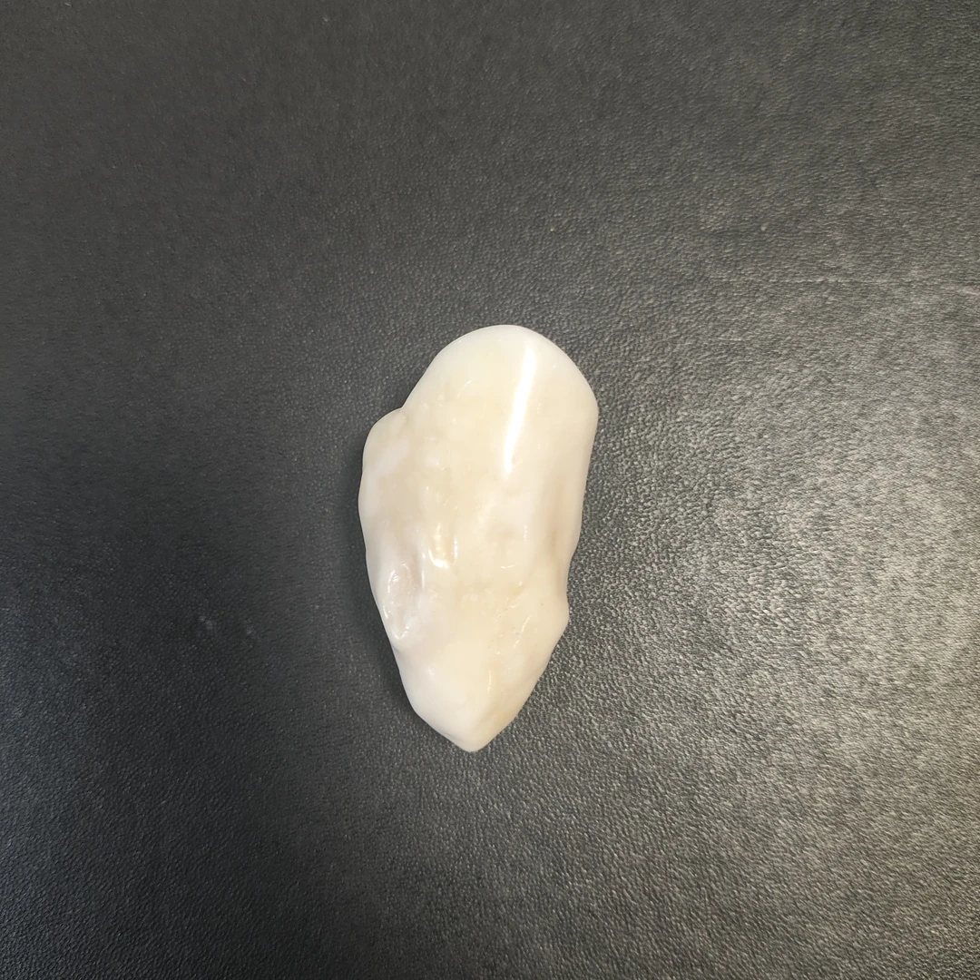 猛犸嘴吊坠约19.2克链接H112