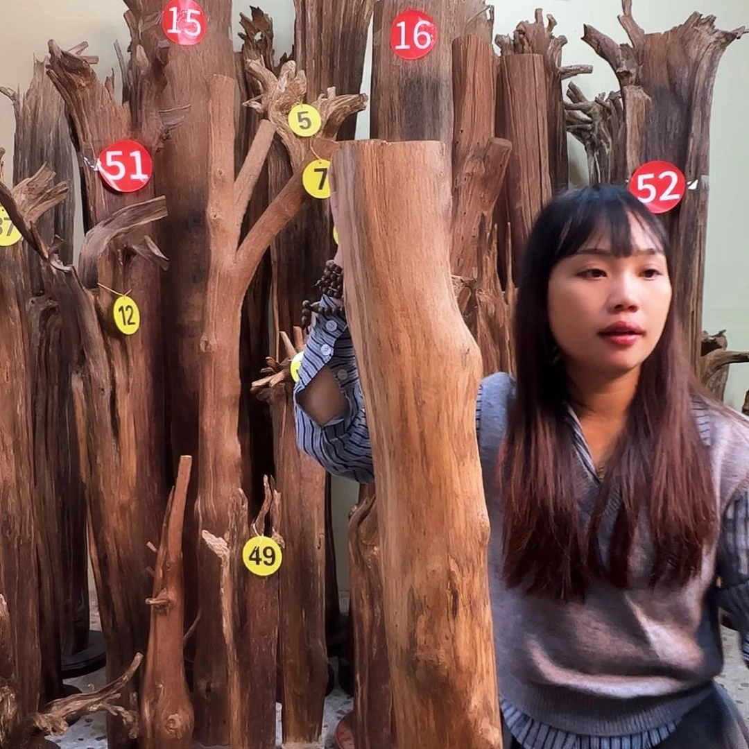 沉香沉香碎屑天然沉香原材料香料熏料