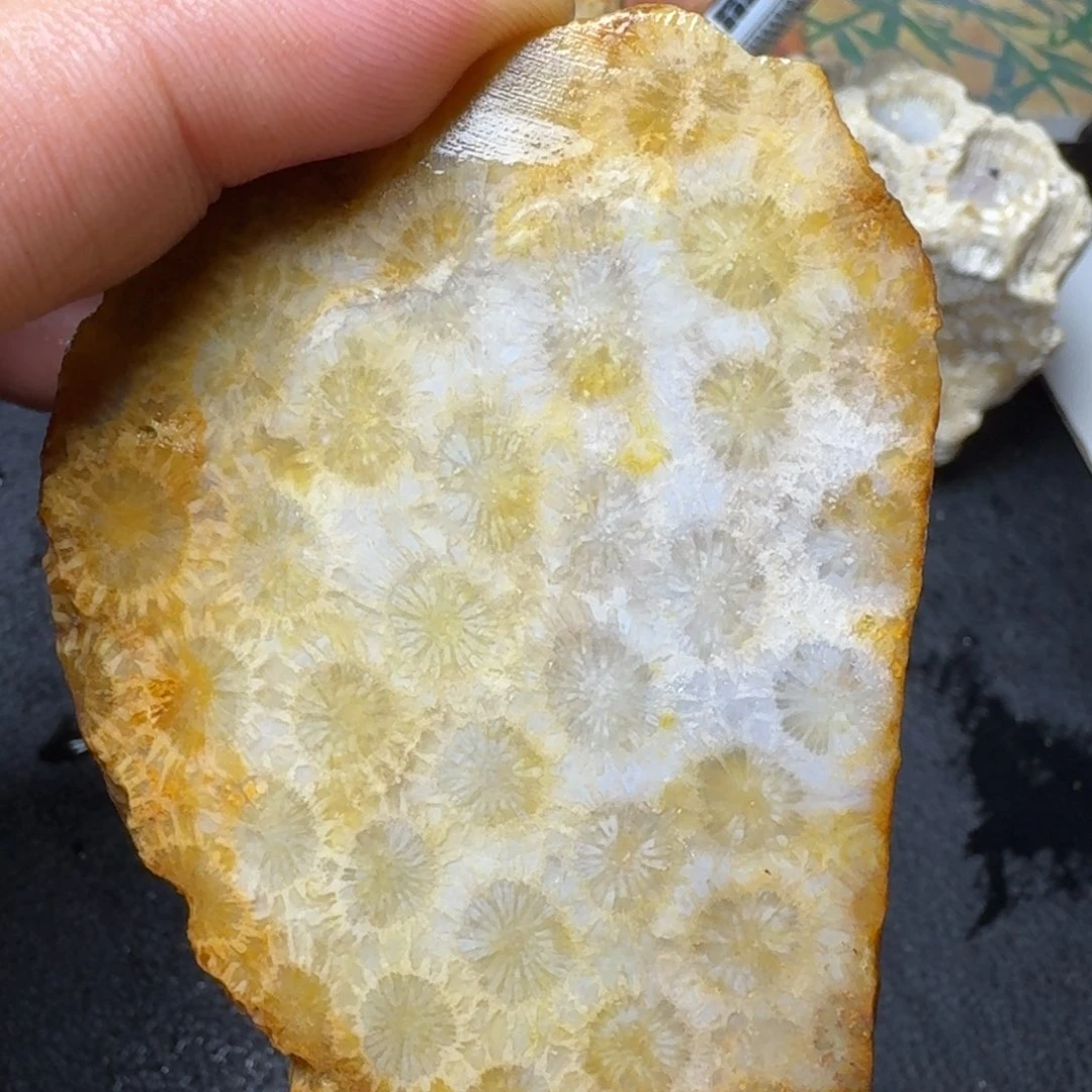 硅化玉片料 未镶嵌