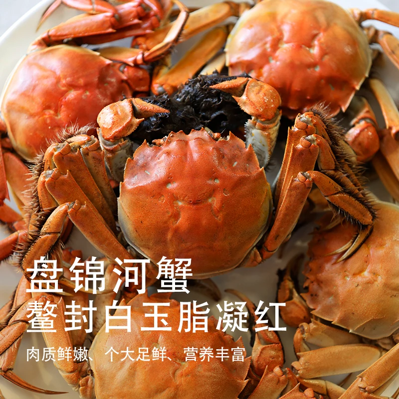 【活蟹】辽宁盘锦河蟹 1.3-1.5两 全母2斤+送1斤公 死蟹包赔 礼盒装