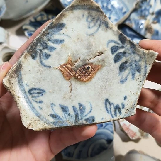 瓷片瓷片瓷片瓷片瓷片