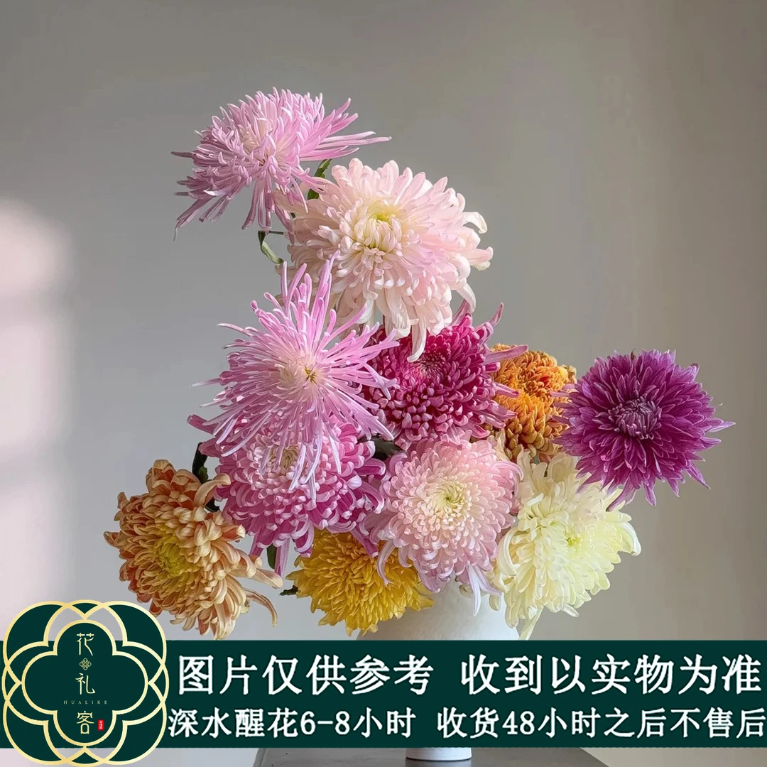 七叶花坊# 【国风大菊】鲜花优选 顺丰直发