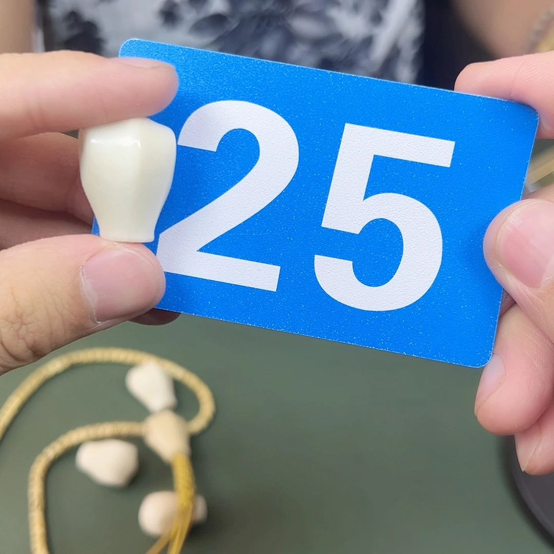 菩提根/象牙果吊坠三通鲨鱼背。  25