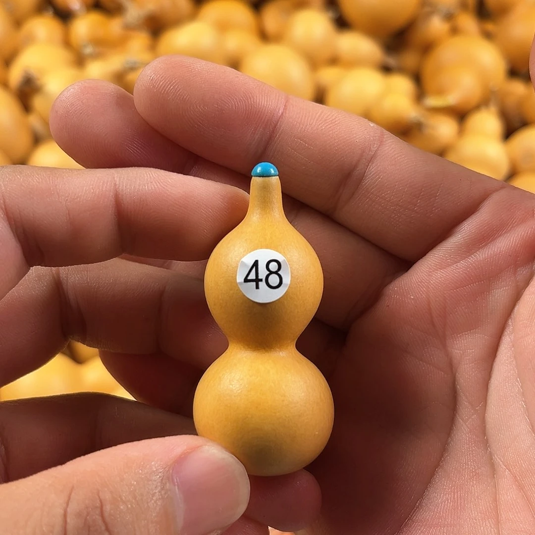 四葫芦葫芦葫芦葫芦48