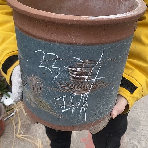 紫砂中国宜兴紫砂花，