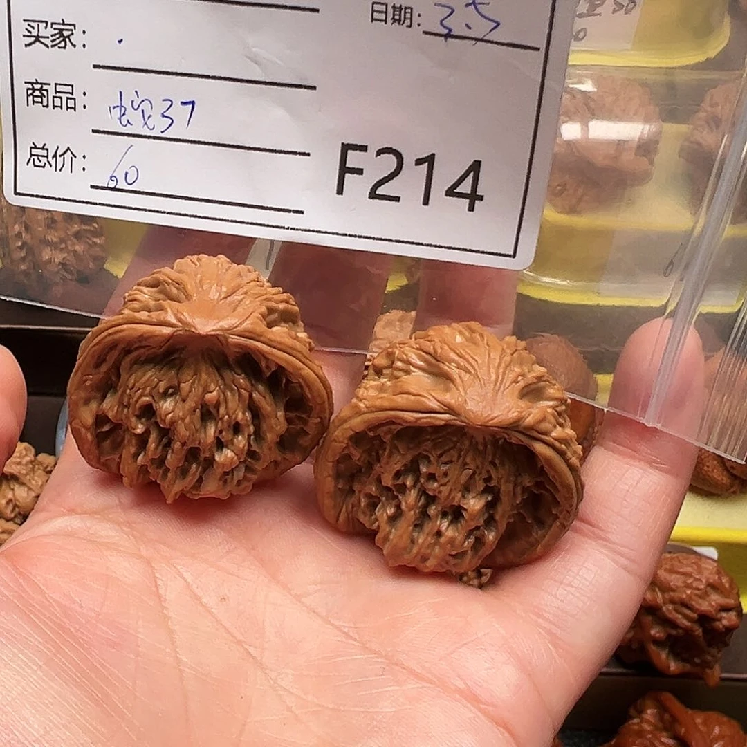 春*蛇王蛇王蛇王蛇王37层