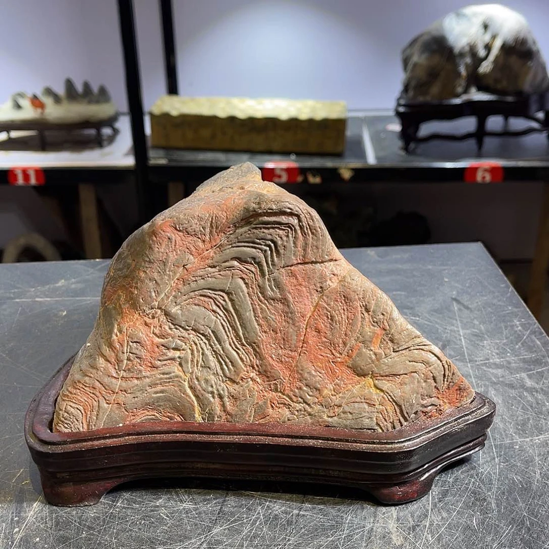 紫砂我也想说的一件徐*大