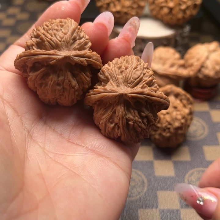 核桃40白狮子文玩