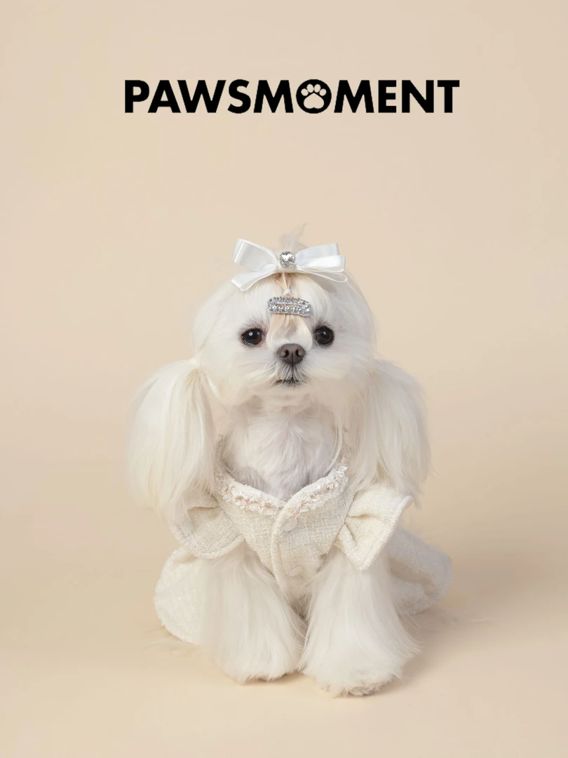 宠物衣服春秋款白色小香风山茶花裙子马尔济斯西施约克夏雪纳瑞