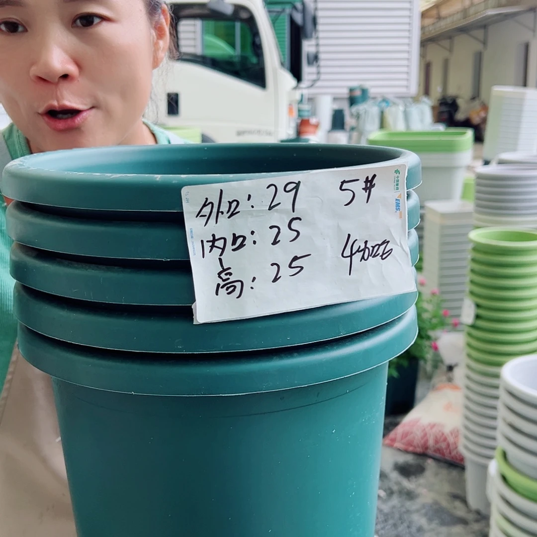 四季盆5#墨绿色6个无托