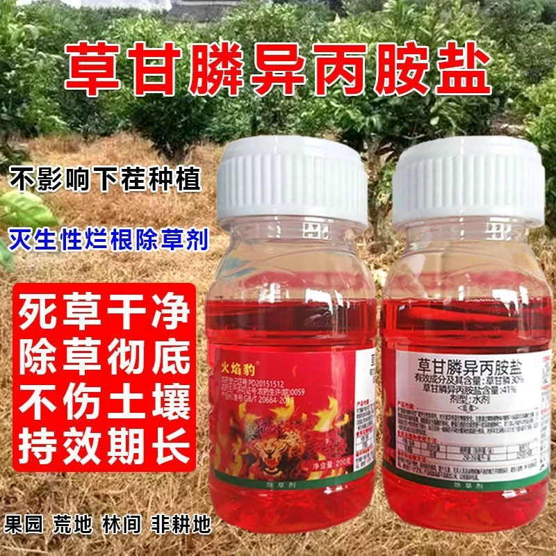 草甘膦异丙胺盐除草剂一扫光烂根杂草果园除草剂草甘膦批发