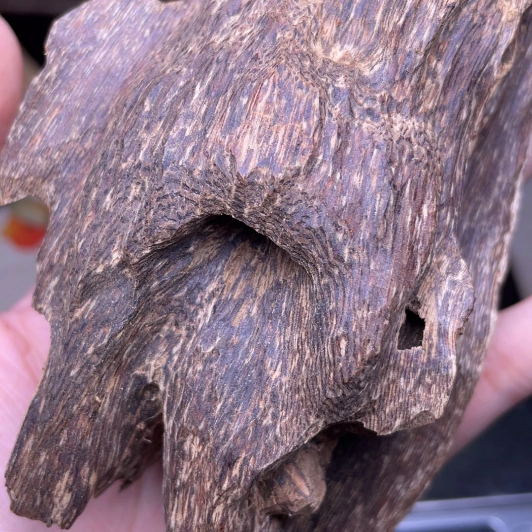 香榧木海南临高虫漏72克