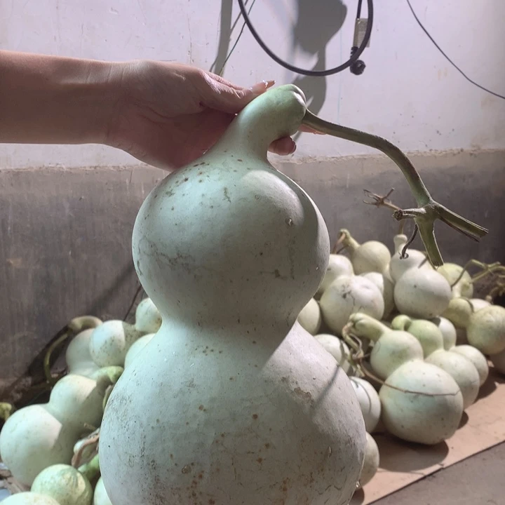 俊***中号歪嘴瑕疵包邮