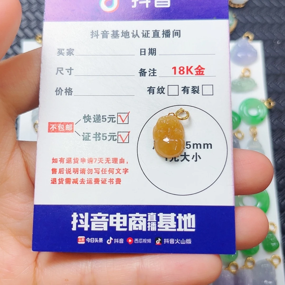 囡***彤翡翠18K金镶嵌颈饰