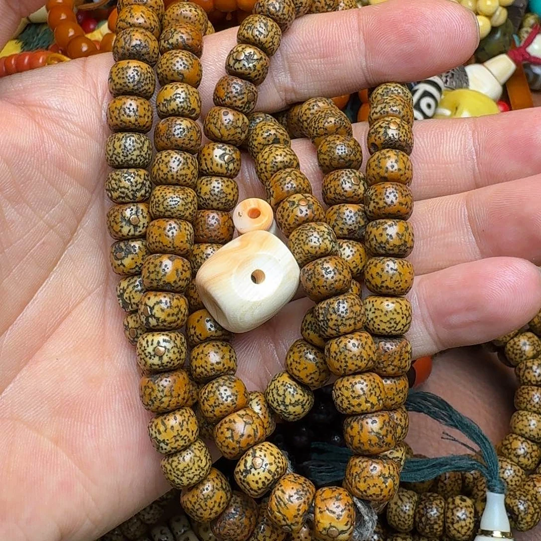 菩提籽类星月菩提