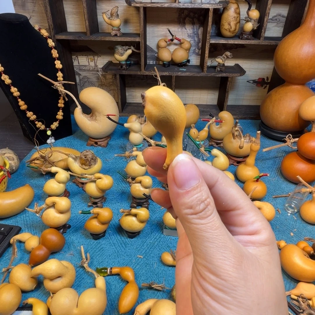 清***摇精品猪仔嘎嘎漂亮哦