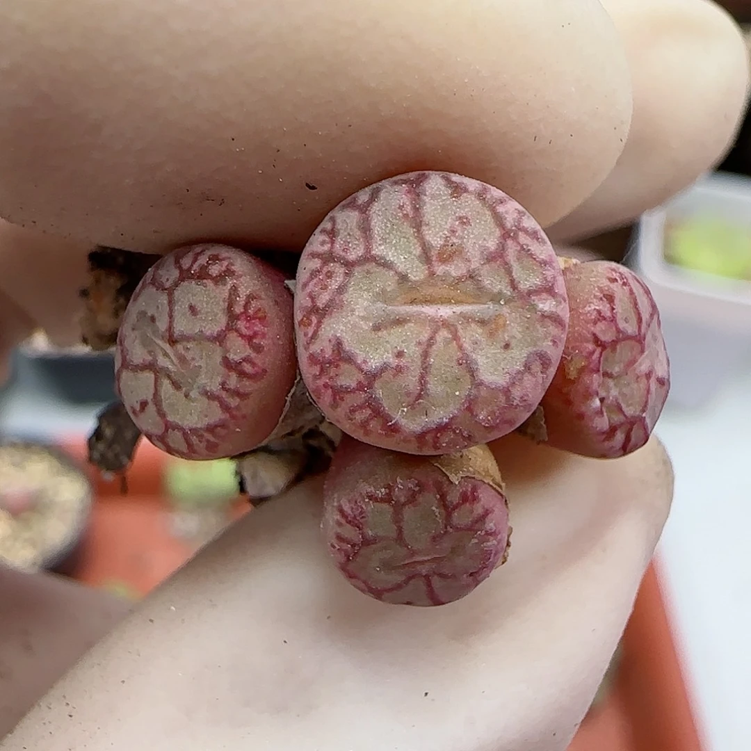 392福利福利福利