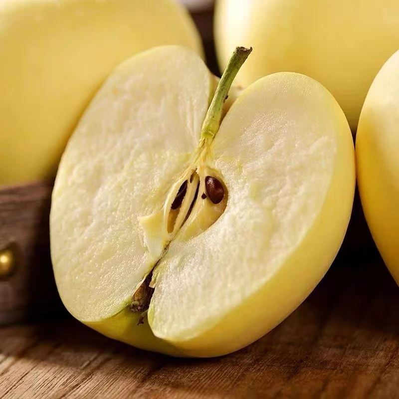 甘肃天水产地直发高山黄元帅脆甜苹果香甜脆嫩新鲜水果农产品