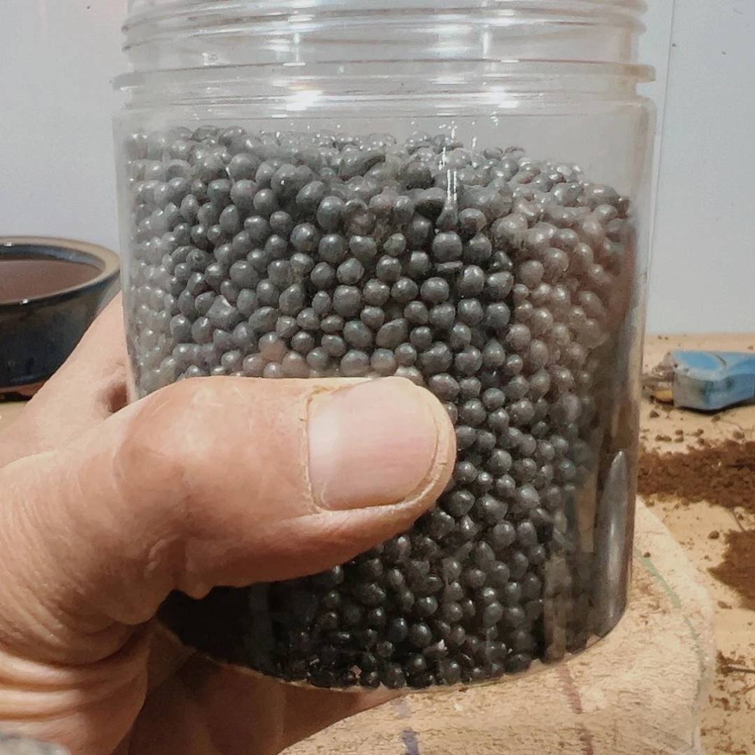 盆景皋月杜鹃防虫