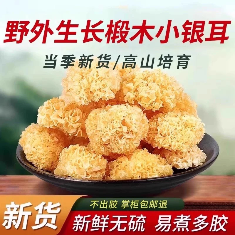 云南高山农家椴木小银耳易出胶口感糯营养丰富