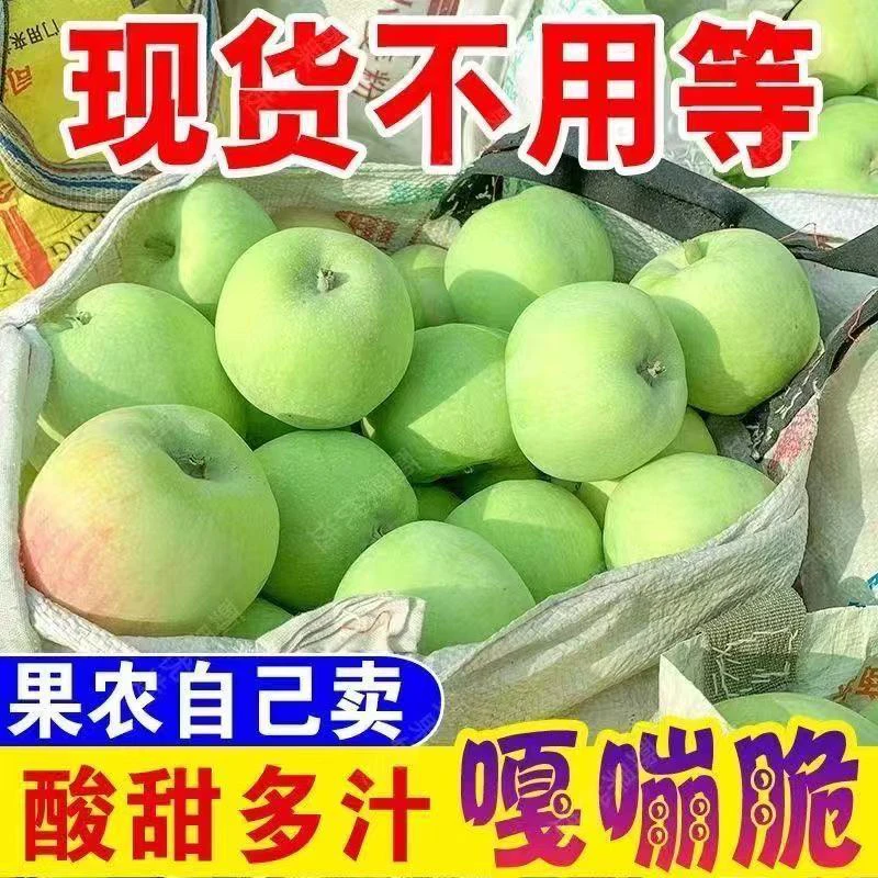 山东沂蒙山青苹果现摘现发酸甜多汁孕妈妈酸苹果夏季消暑水果