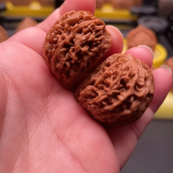 全品无修秦闷小异形